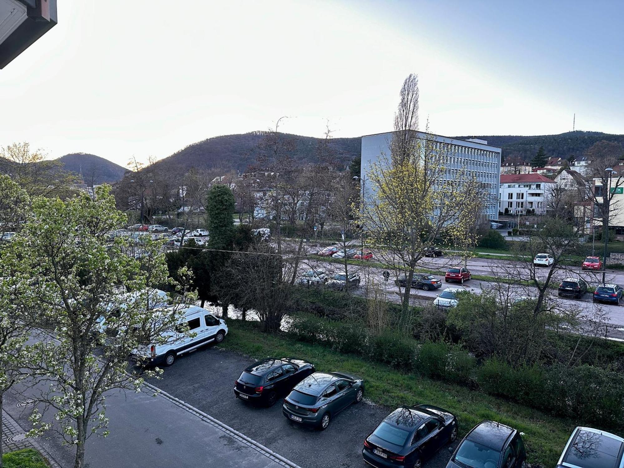 Speyerbach - Modernes Apartment Nahe Neustadter Innenstadt Neustadt an der Weinstrasse Bagian luar foto